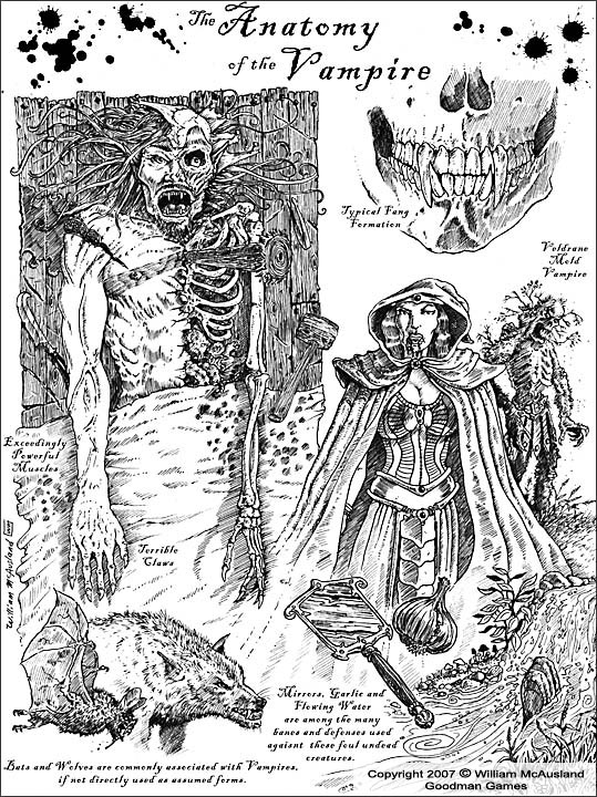 McAusland-Studios-Goodman-Games-Vampire_Anatomy-1-web