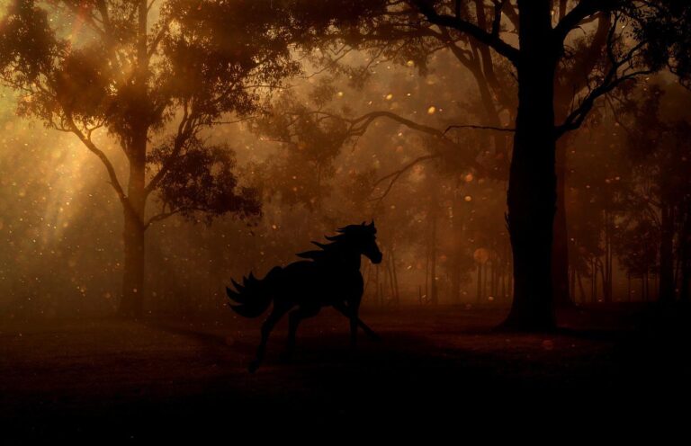 cavalo horse