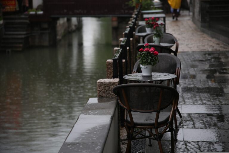 Chuva - Rain
