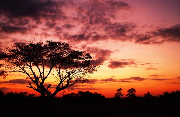 sunset - por do sol