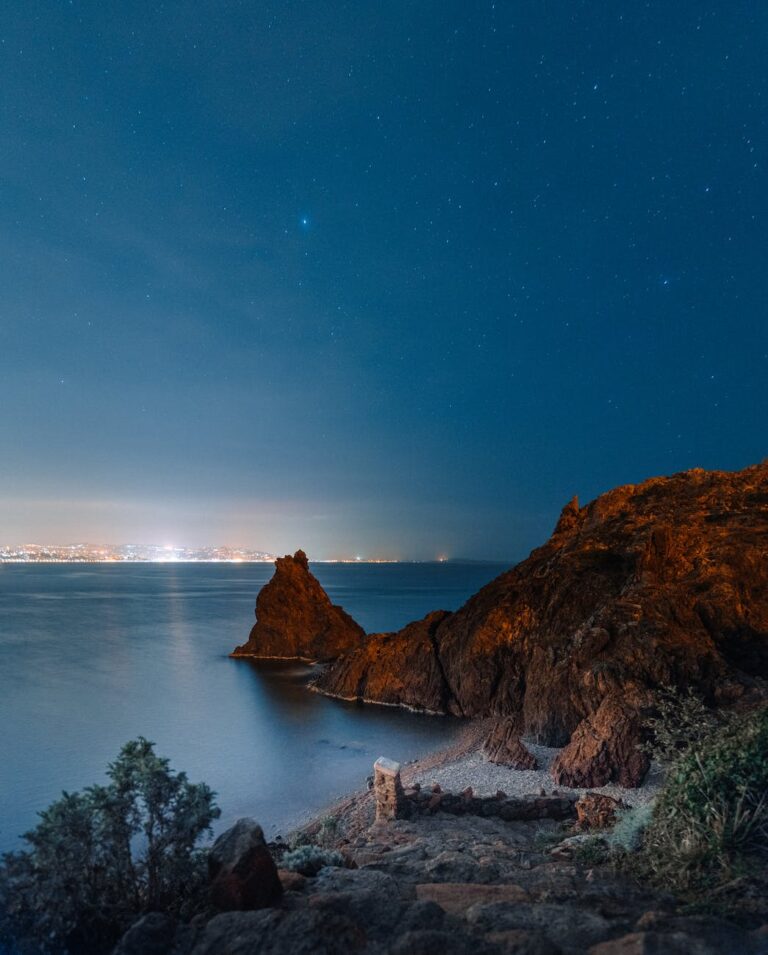 rocky ocean coast against starry sky